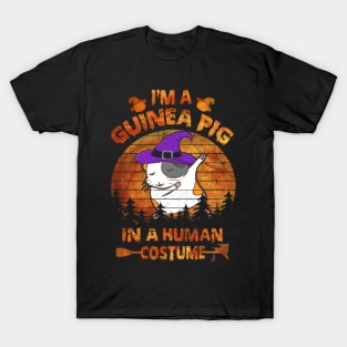 Guinea Pig Halloween Costumes (45) T-Shirt